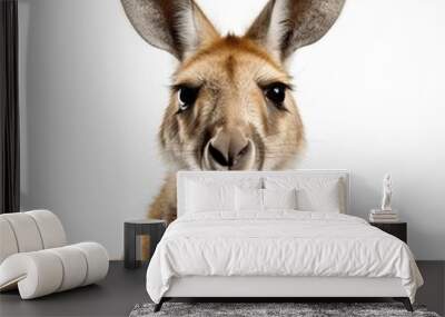 Funny red kangaroo Australian animal AI generated image Wall mural