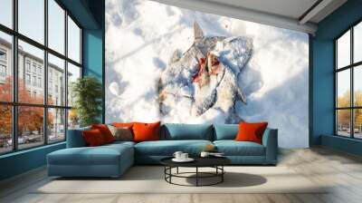 The catch from winter fishing. Russia Wall mural