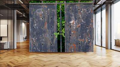 metal door texture background Wall mural