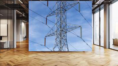 Electric Tower in San Mateo County, California, USA. Wall mural