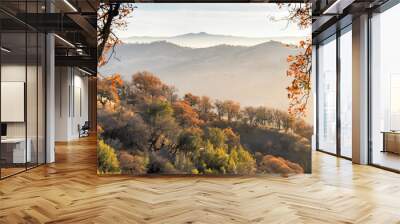 Northern California Fall of Misty Mountains, from Joseph D. Grant County Park, San Jose, California, USA. Wall mural