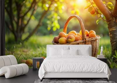 Basket filled with ripe apricots on grassy field under tree, natural daylight enhancing warm colors Wall mural