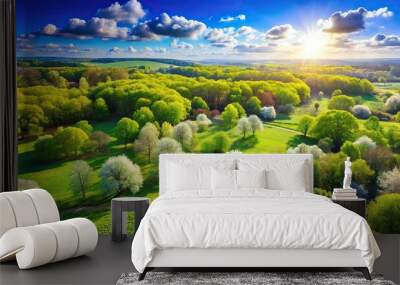 Bird eye view of a fresh spring summer landscape with bright sky and trees Wall mural