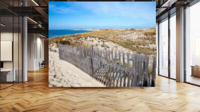 View Across the Dunes of the Delaware Bay at Cape Henlopen in Lewes, Delaware, Sussex County, USA Wall mural