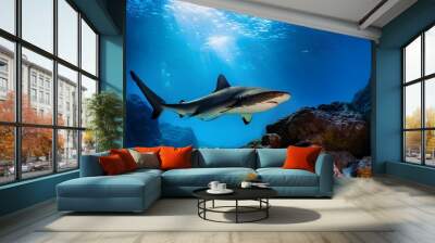 Photo a shark underwater ocean swimming in blue river water Wall mural