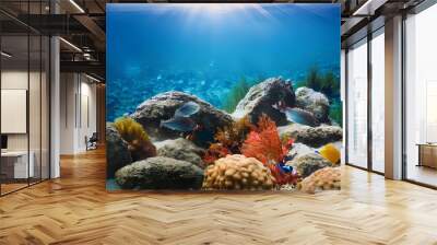 Photo of underwater ocean with stones and colorful marine life; eyes to earth; wildlife  Wall mural