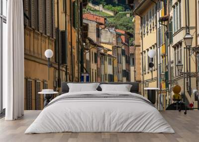 Beautiful old historic townhouses in Florence ,Italy
 Wall mural