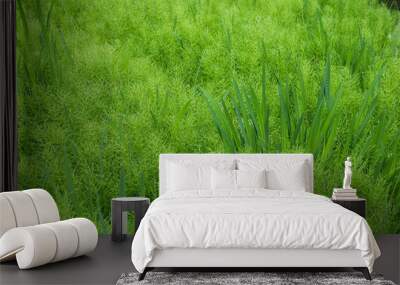 green grass field Wall mural