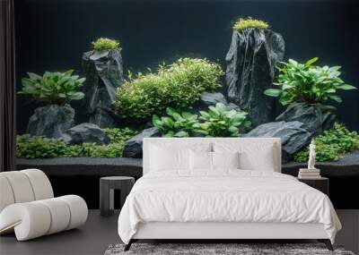 Aquascape design featuring rocks and aquatic plants in harmony. Wall mural