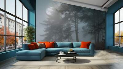 Full moon forest Wall mural