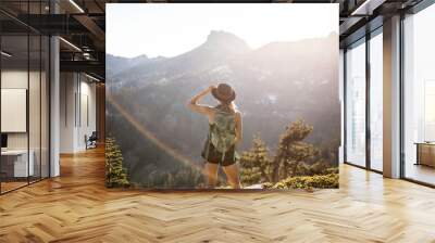 girl overlooking mountains in national park in California Wall mural