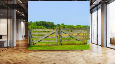 Gate to the field Wall mural