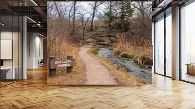 Chickasaw National Recreation Area, Oklahoma Wall mural