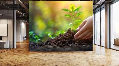 World Environment Day. Planting the seedlings into the soil. Idea of protecting the environment and reducing global warming. Symbol of spring, the beginning of forest, ecology concept. Earth day. Wall mural