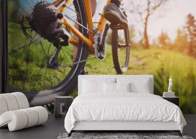 Close up of cyclist riding on road in park, closeup of bicycle wheel with sun flare Wall mural