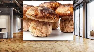 Four fresh brown cap boletus edulis mushrooms isolated on white background. Wall mural