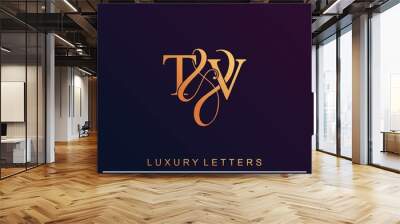 T & V TV logo initial vector mark. Initial letter T & V TV luxury art vector mark logo. Wall mural