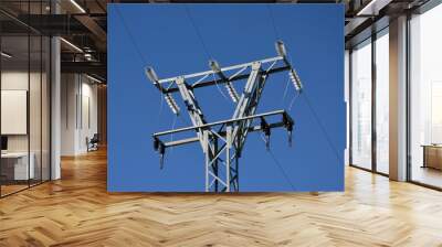 High voltage tower 2 Wall mural