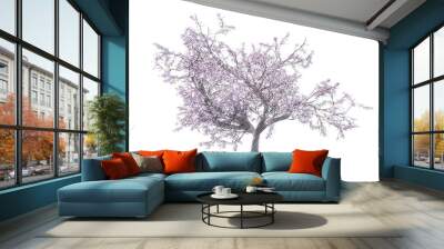 Blossoming cherry tree drawing isolated transparent background 
 Wall mural