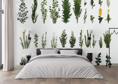 Field vegetation vector set isolated on white Wall mural