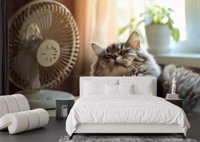 Adorable fluffy cat relaxing on an indoor table while the fan blows. Summertime warmth Wall mural