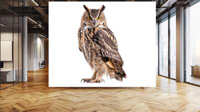 Eagle owl isolated on transparent background Wall mural