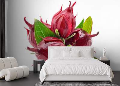 Fresh roselle fruits with leaves isolated on transparent background Wall mural