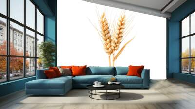 Wheat grain isolated on transparent background Wall mural