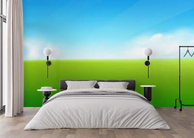 Spring field nature background with green grass landscape, clouds, sky Wall mural