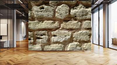 Wall masonry from old limestone stone blocks. Istanbul ancient brick wall background texture Wall mural