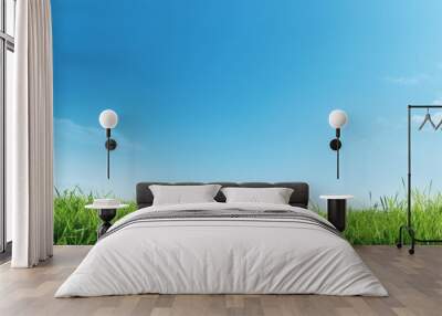 green grass and blue sky Wall mural