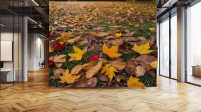 Beautiful autumn landscape with. Colorful leaves in the park. Fallen leaves natural background Wall mural