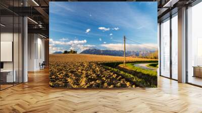 Abandoned farm in the countryside Wall mural