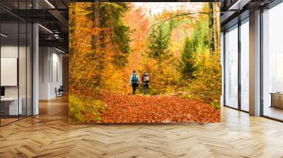 girls trekking in the wood Wall mural