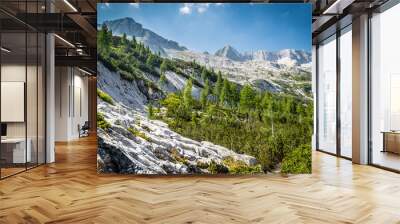 mountain peak in a summer day Wall mural