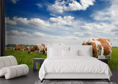 Cow on farm Wall mural