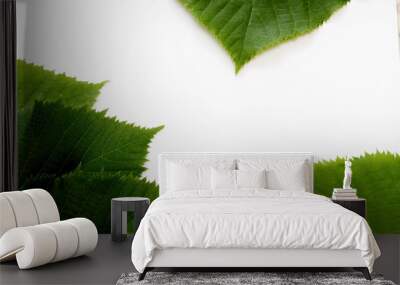 reen leaves on a white background Wall mural