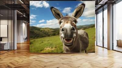 Donkey with a funny face on the background of blue sky Wall mural