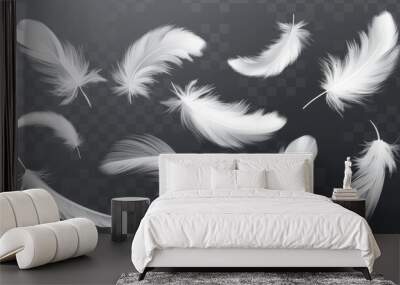 A modern illustration showing white fluffy twirled feathers falling on a transparent background in a realistic style Wall mural