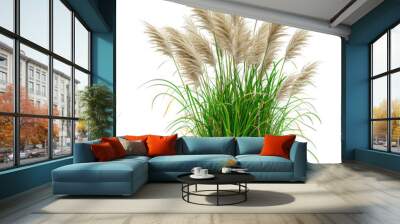 bush of blooming ornamental grass Wall mural