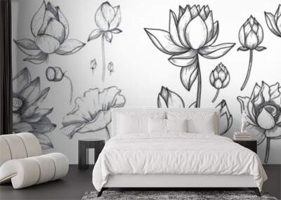 Decorative lotus. Sketch floral composition lotus flowers and leaves, magic flower life symbol, hand drawn botanical plant outline set. Beautiful blossom, bud with petals and leaves. Wall mural