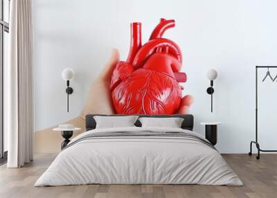 Doctor hand holding heart model human body anatomy model on white background. Wall mural