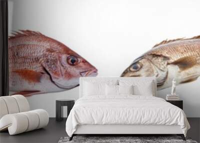 Dorado fish isolated on white background with clipping path. Full depth of field. Focus stacking. Wall mural