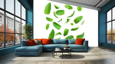 Falling mint leaves, spearmint Wall mural