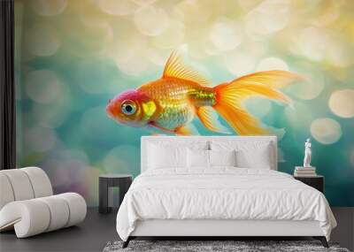 In a clear blue ocean, orange and white goldfish swim. Wall mural