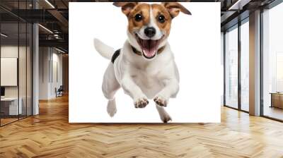 Portrait of a cute playful Jack Russell Terrier puppy jumping isolated on white background. Wall mural