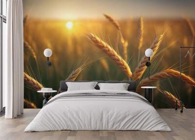 Silhouette of wheat, close-up. Wheat in the field, beautiful background. Wall mural