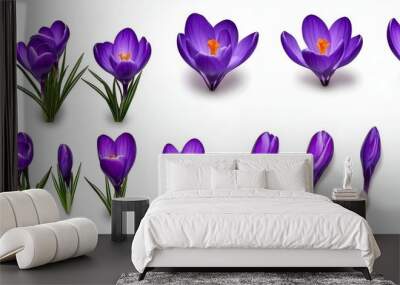 The beautiful natural spring floral season is graced with purple blooming flowers of various compositions isolated on a white background. Wall mural