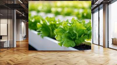 The Industrial Greenhouse is occupied by two agricultural engineers testing plants and analyzing data using a tablet computer. Wall mural