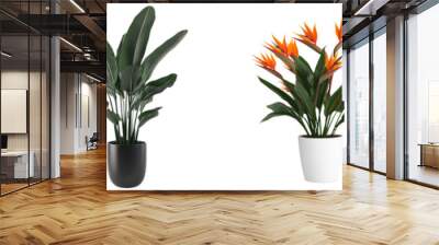 The rendering of a decorative houseplant on a transparency background is in 3D Wall mural